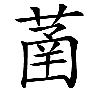 䓿